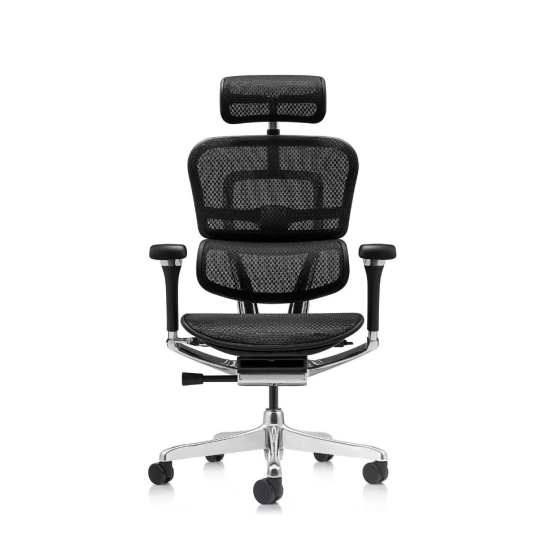 Кресло руководителя Ergohuman Luxury 2, EHL2-AB-HAM-5D-D, сетка черная