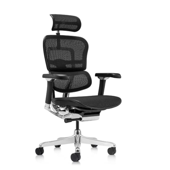 Кресло руководителя Ergohuman Luxury 2, EHL2-AB-HAM-5D-D, сетка черная
