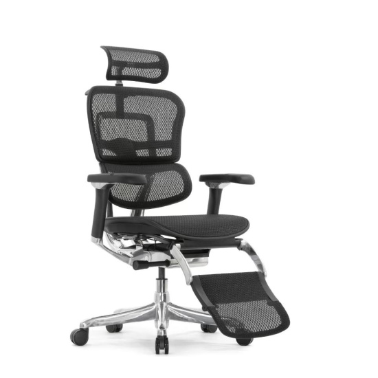 Кресло руководителя Ergohuman Luxury 2 Legrest, EHL2-AB-HAM-5D-D+LM, сетка черная